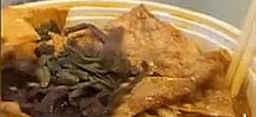 福建泉州：可爱的小奶猫看到主人点了外卖，就好奇凑上来闻一闻