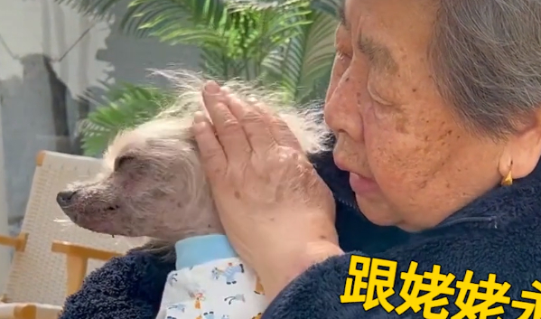 北京一老人忍痛帮生病狗狗安乐死，离别时泣不成声，画面令人泪目