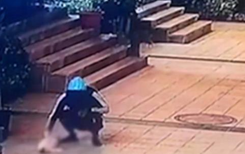 外卖骑手虐猫，被监控全程拍下