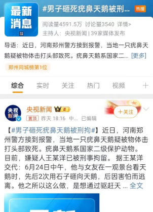 【男子砸死疣鼻天鹅被刑拘】河南郑州警方速破案件！