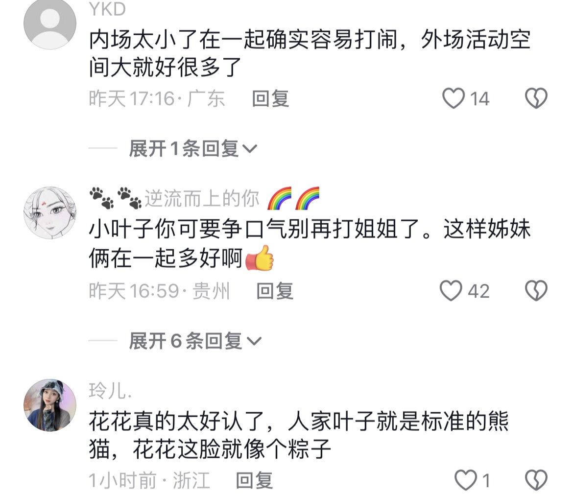 花叶终于又合体啦！