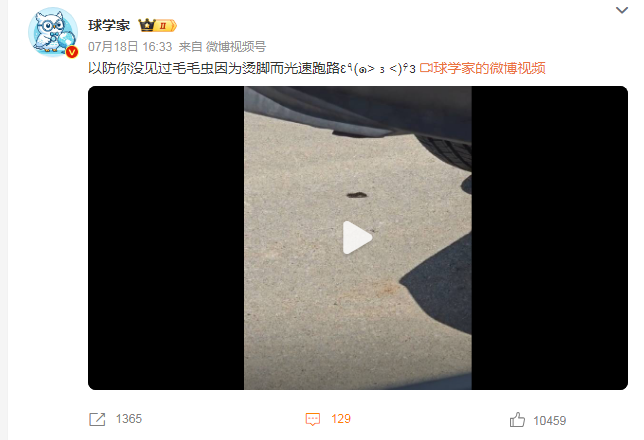 热热热！毛毛虫因为烫脚而光速跑路