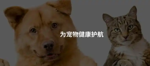检测犬类多种癌症、猫传腹治疗药物、国产猫三联迎重大进展