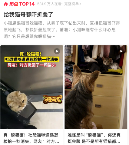 给我猫哥都吓折叠了，网友：小猫咪能有什么坏心思呢?