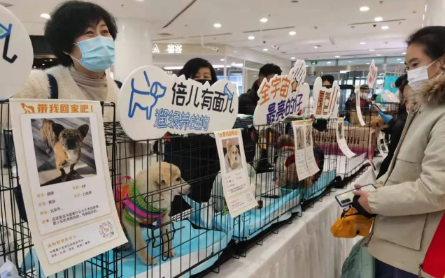 上海复地活力城萌宠日来啦，吸猫撸狗上瘾者速速报道！
