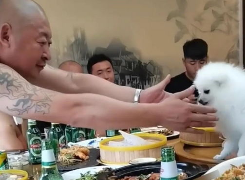 饭局上狗主人手戴金链，任由狗在桌上吃菜