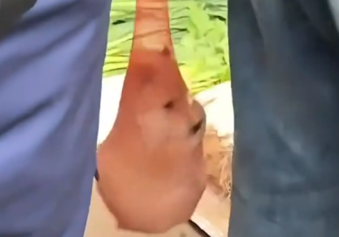 女子偶遇袋装小狗。网友：我就说年轻人和老年人之间有袋狗吧 