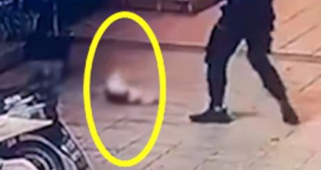 外卖骑手虐猫，被监控全程拍下