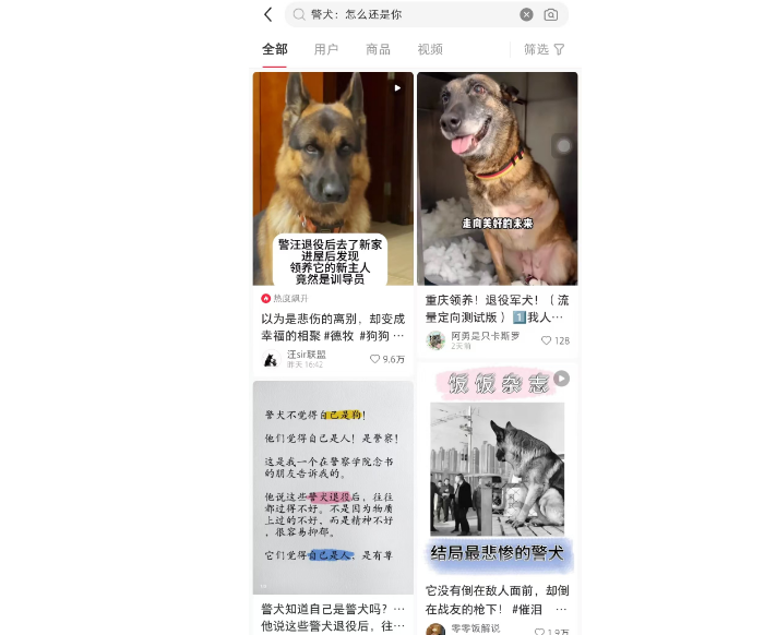 开心？警犬：怎么还是你