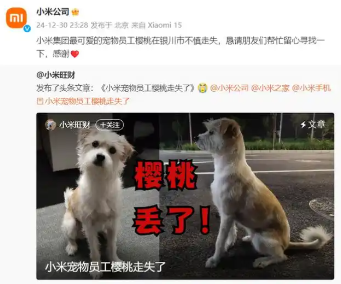 小米悬赏一万寻狗！此前发文求助寻找首席萌宠“樱桃”