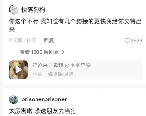 才艺挑战赛！狗狗：这才艺小菜一碟