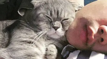 买了一只猫咪，男友十分嫌弃，出差3月后回家一看瞬间懵了……