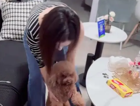 狗狗把垃圾桶纸扒出来了，主人用它爪子捡回去！