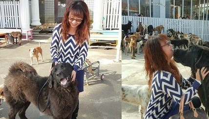 獒犬大黑「咬笼狠劲吓坏人」曾列死刑犬 3年后像小孩躺地撒娇