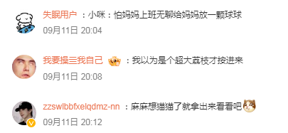 猫又把毛绒球放我电脑包里了，这就是幸福吗！