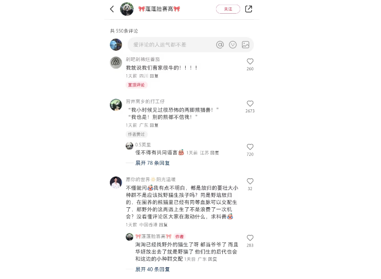 熊猫届也有自己的偶像剧