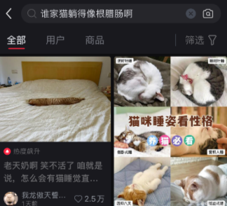 谁家猫躺得像根腊肠啊
