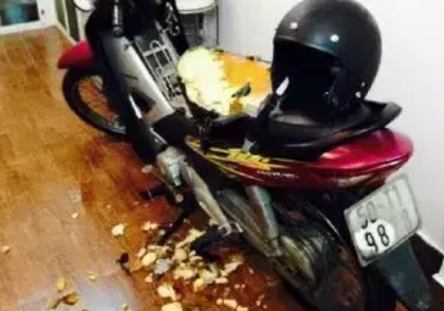 二哈又惹祸了，它拆了主人的摩托车，但主人的举动却更搞笑