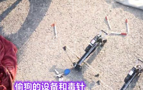河北：男子开面包车偷狗，遭村民拿砖头怒砸，砸坏了两块玻璃