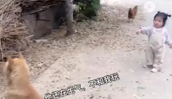 广西贵港：萌娃和狗子“闹掰”，背对背互不搭理，结果又去玩鸡