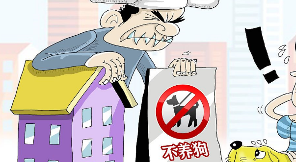 重庆一行人避犬时遭撞伤，饲养人被判赔偿17多万？