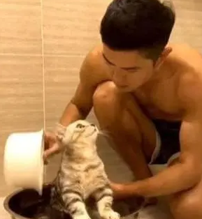 小鲜肉主人给猫洗澡，猫咪一脸“花痴”地看主人，网友：猫是颜控