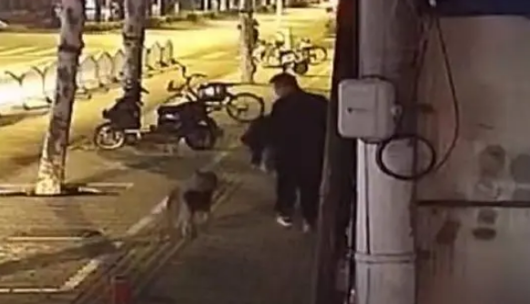 哈士奇自行解开绳锁“离家出走”还上了陌生男子的车，急坏主人