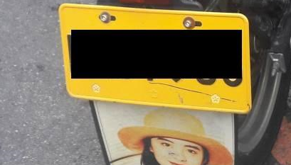 柴犬坐车兜风，已经看穿某些偷拍，还提示不要看我，看路