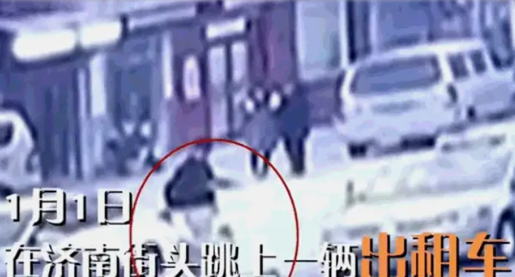 狗狗“离家出走”，独自打车100公里，把司机吓的弃车而逃 