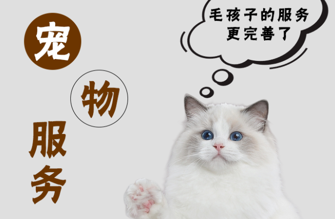 宠物经济持续升温，浙江如何“宠爱”升级