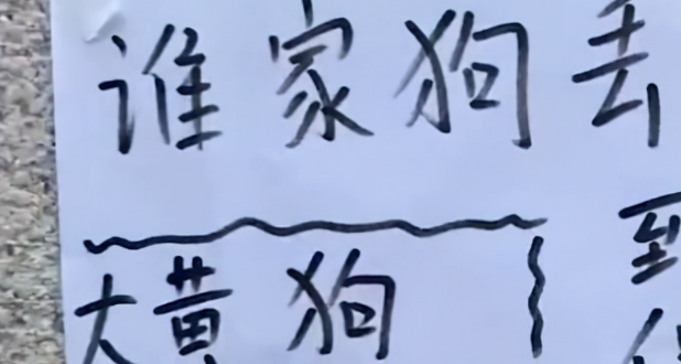 北京小区有人丢狗，保安画寻狗启示太形象，网友：不当画家可惜了