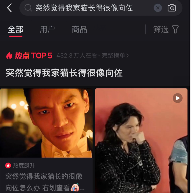 突然觉得我家猫长得很像向佐，看看网友怎么说