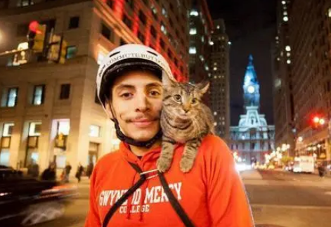 猫咪太黏人，主人只好带着它一起送包裹，一人一猫成了“风景线”