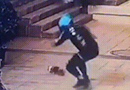 外卖骑手虐猫，被监控全程拍下