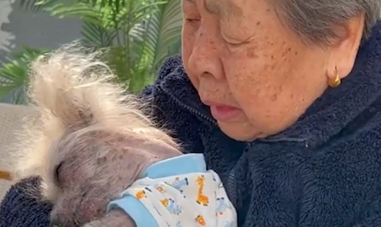北京一老人忍痛帮生病狗狗安乐死，离别时泣不成声，画面令人泪目