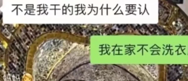 女子发现猫咪惨死洗衣机中，怀疑合租者系凶手，当事人：哭了三天还做噩梦