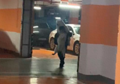 为了不让两只萨摩耶弄脏，主人从车库硬生生扛到家