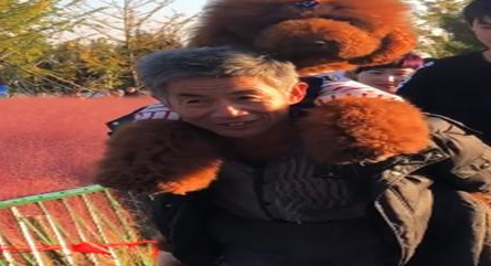 爷爷养了只巨贵都快60斤了，外出总要一直背着，还当自己是小公主