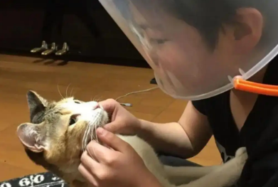 吸猫成瘾，男孩虽被猫挠，却自制神器，坚持吸猫