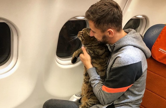 痩猫换胖猫，俄航乘客偷带超重宠物上机被清空常旅客里程数