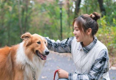 你花了多少？中国宠物经济规模已达3000亿