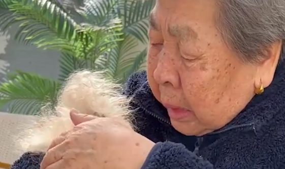 北京一老人忍痛帮生病狗狗安乐死，离别时泣不成声，画面令人泪目
