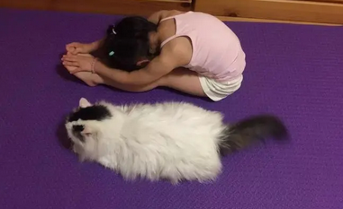 萌猫咪非要跟铲屎官一起做瑜伽，可爱翻了！
