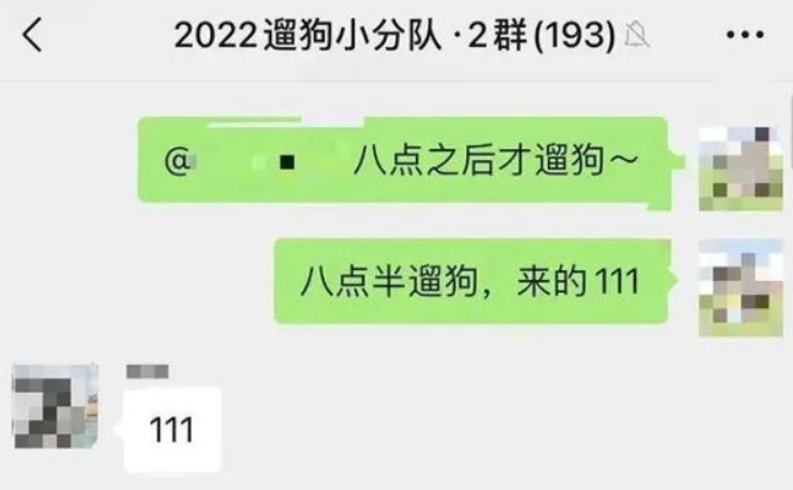 上海一大学学生争相遛狗，狗子：1天遛8遍，我都瘦了！发生了什么？