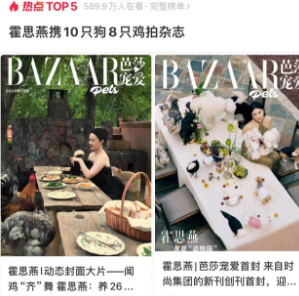 霍思燕携10只狗8只鸡拍杂志，画面有趣又治愈心情