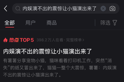 内娱演不出的震撼让小猫演出来了，看看吧