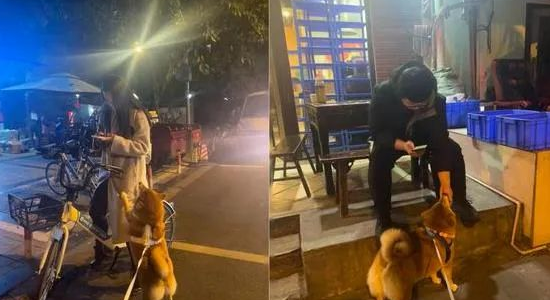 外送员停车就是一阵撸狗，社牛柴犬爽到躺下，奴才笑像渣狗！