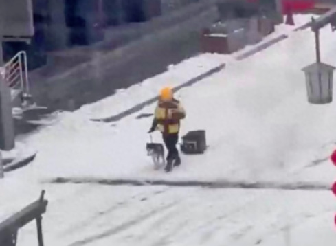 下大雪外卖员不能骑车了，便让哈士奇帮忙拉箱子，血脉觉醒了啊！