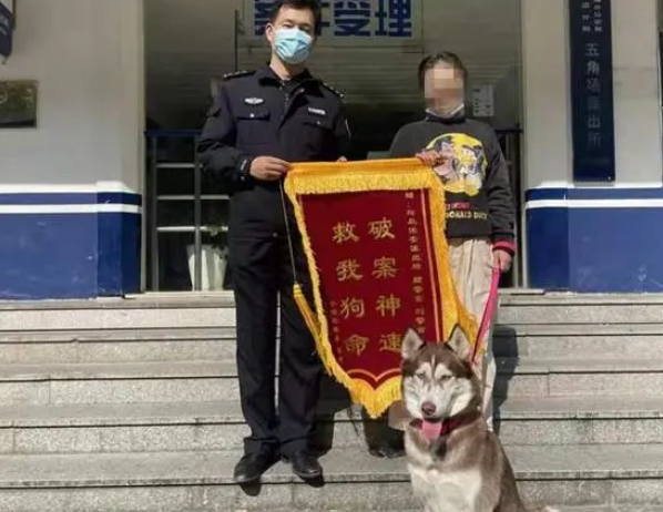 哈士奇自行解开绳锁“离家出走”还上了陌生男子的车，急坏主人