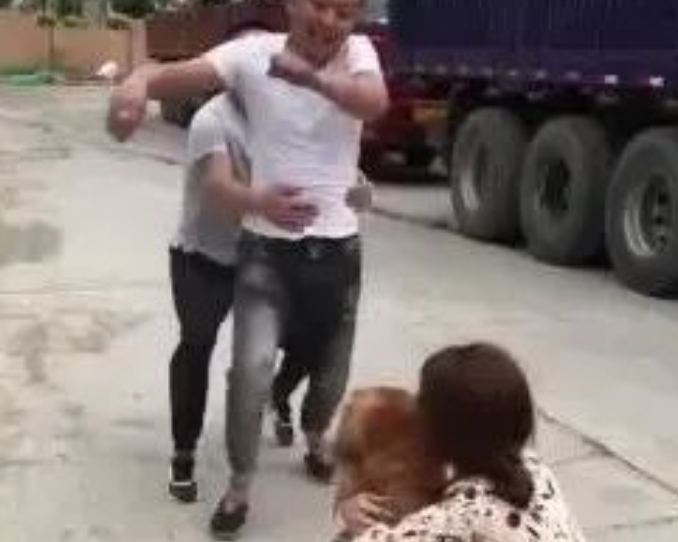 男子踩了金毛一脚，不道歉还怪狗，结果金毛让他当场后悔！